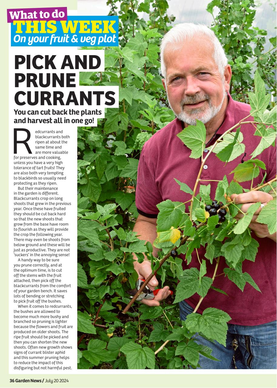 Garden News Preview Pages