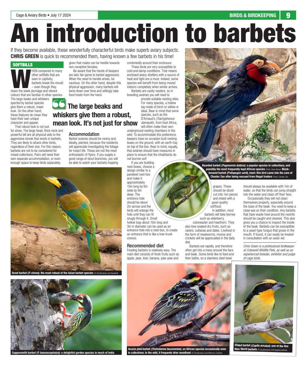 Cage & Aviary Birds Preview Pages