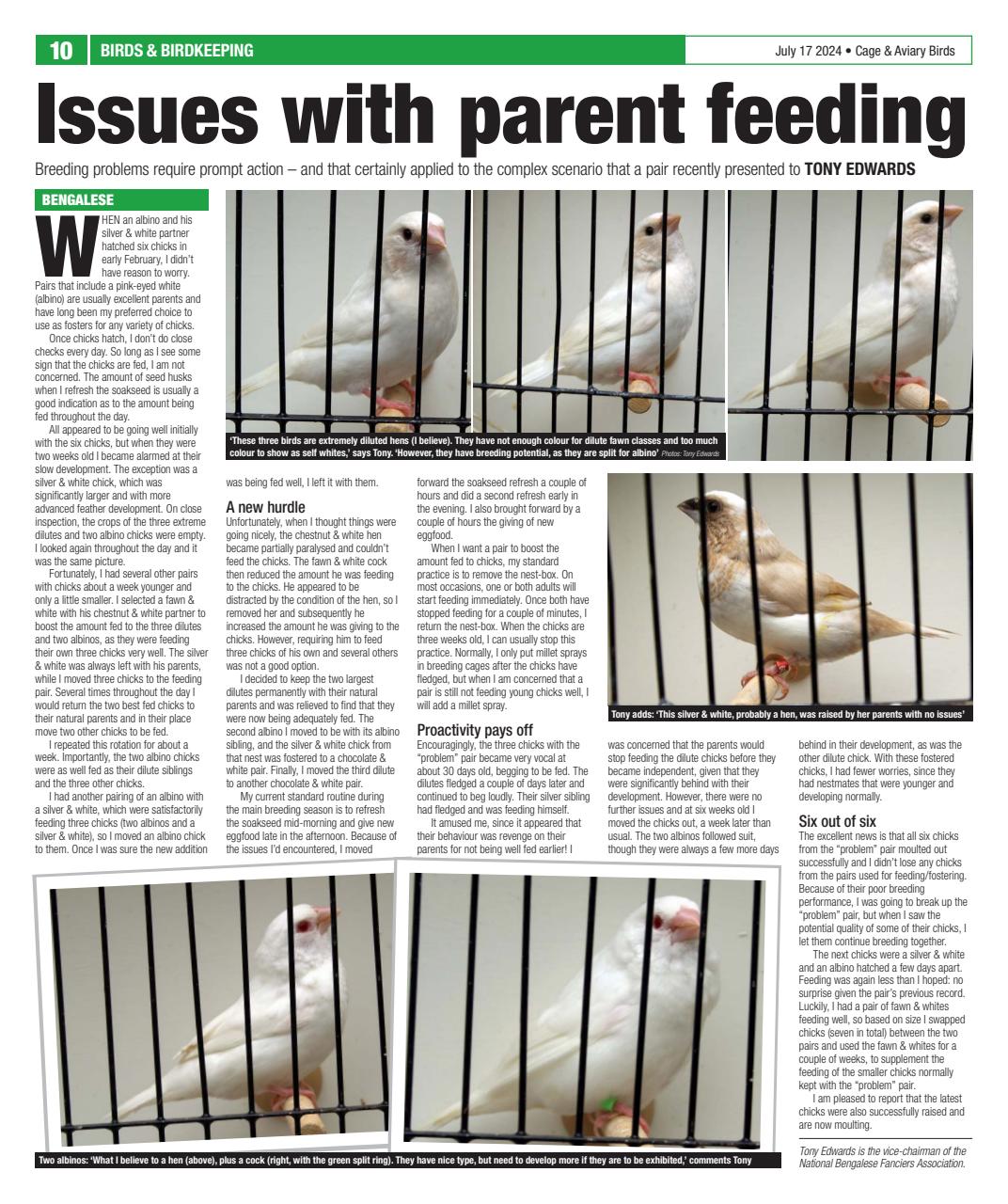 Cage & Aviary Birds Preview Pages