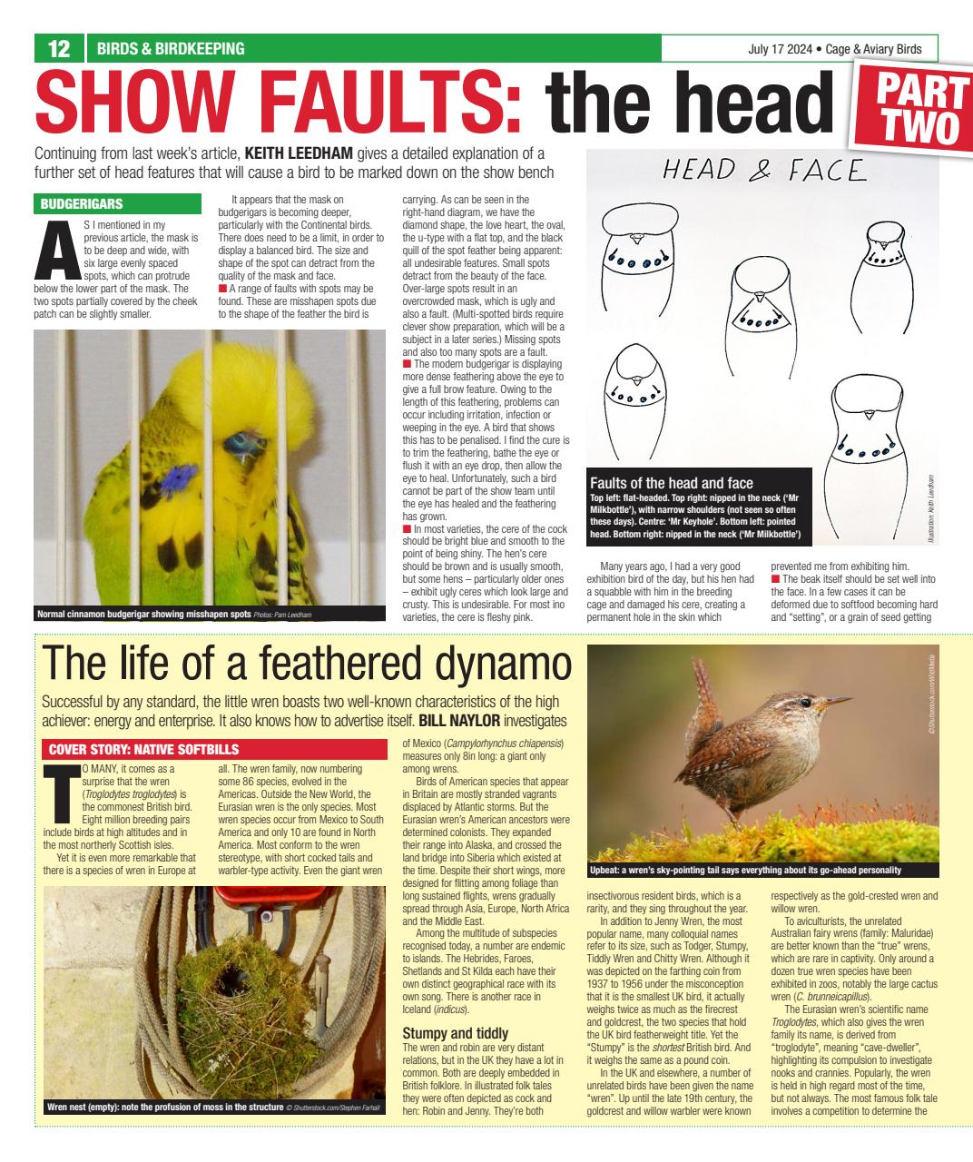 Cage & Aviary Birds Preview Pages