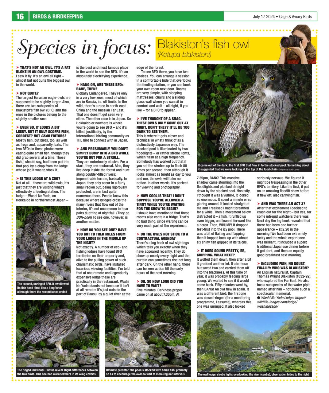 Cage & Aviary Birds Preview Pages