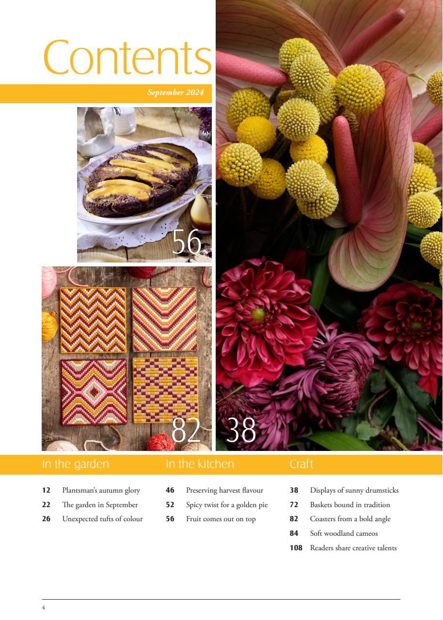 LandScape Preview Pages