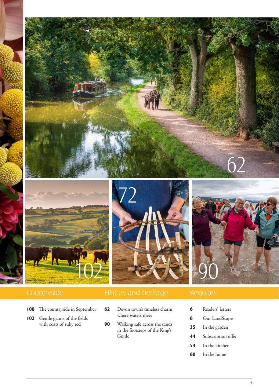 LandScape Preview Pages