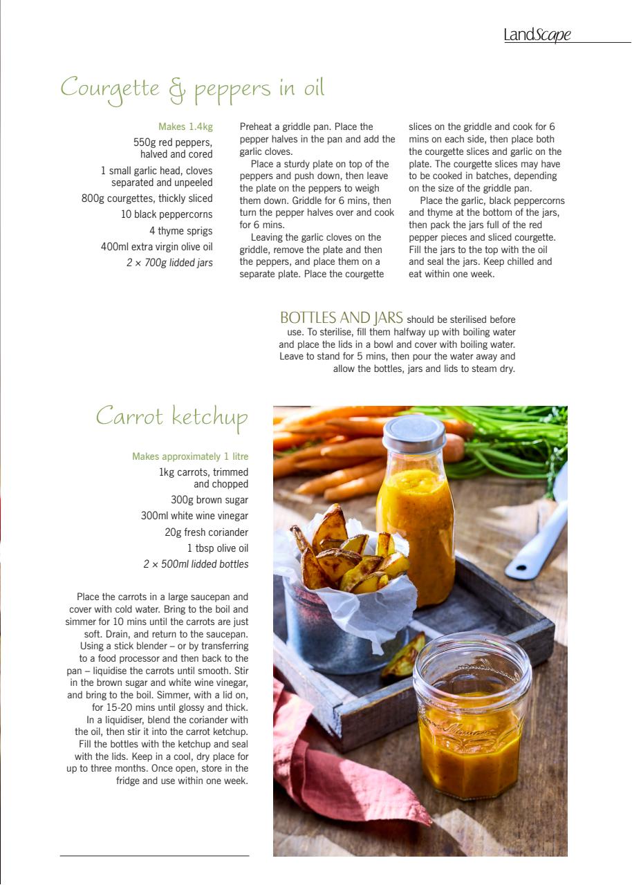 LandScape Preview Pages