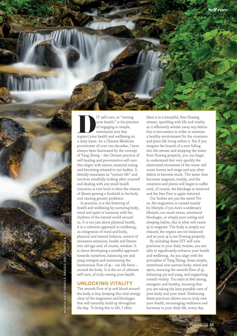 Platinum Preview Pages