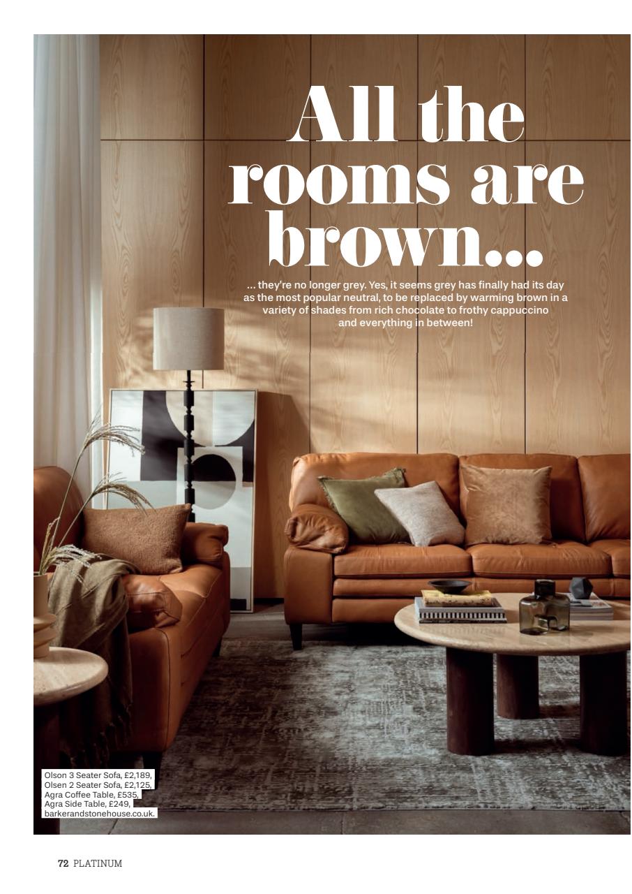 Platinum Preview Pages