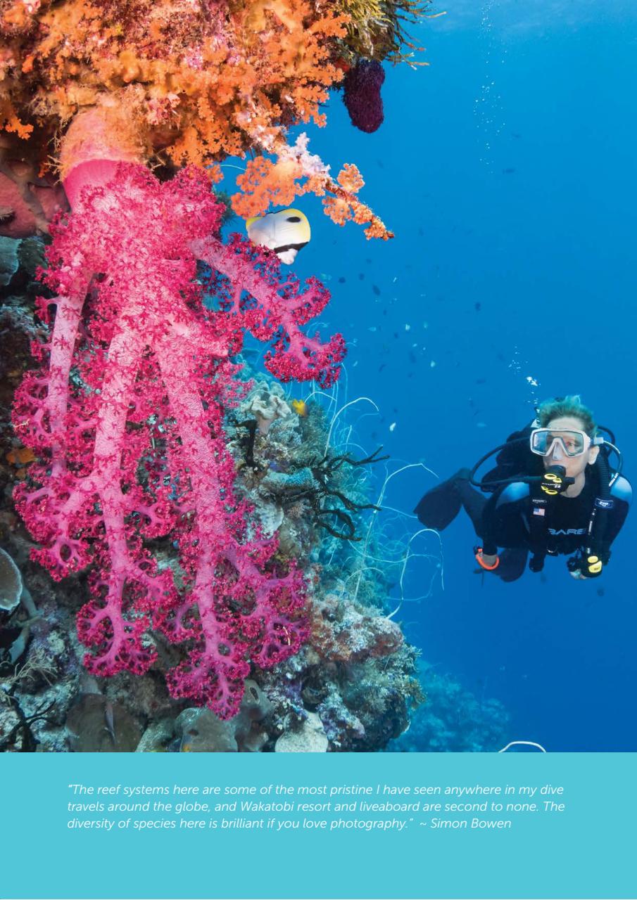 Geographical Preview Pages