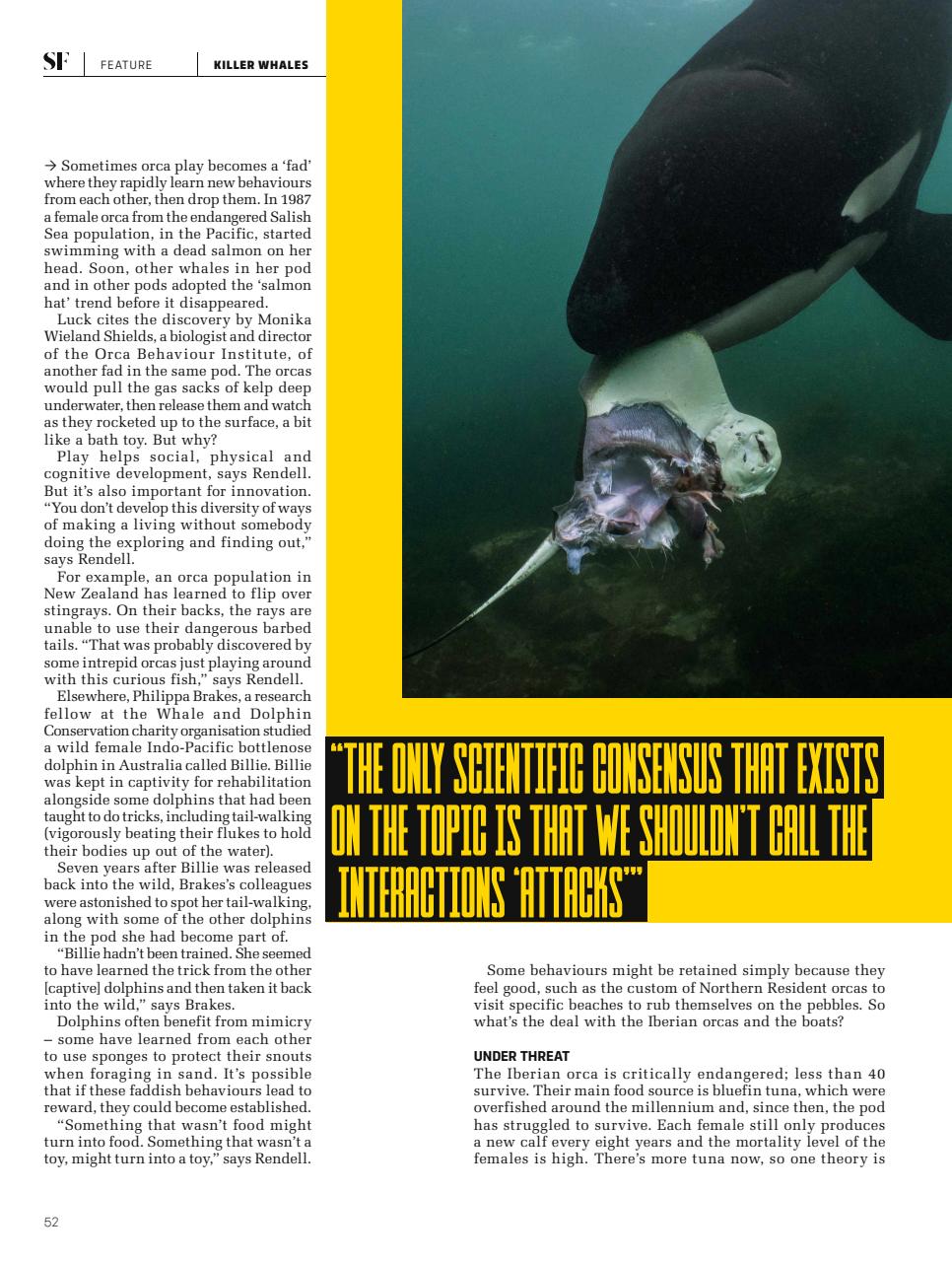 BBC Science Focus Magazine Preview Pages