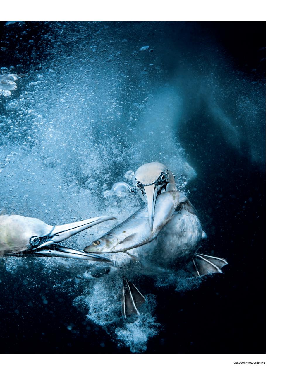 Outdoor Photography Preview Pages