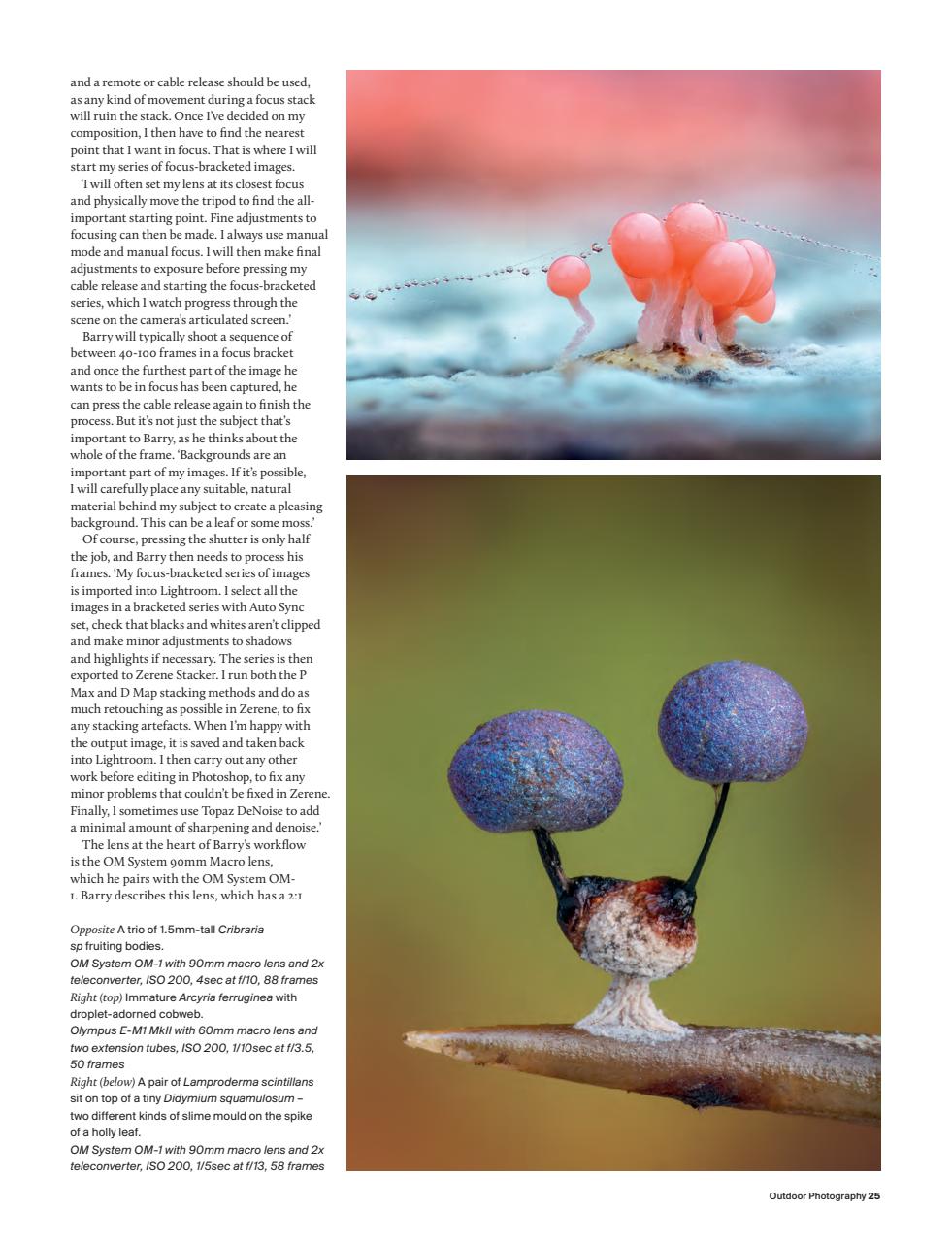 Outdoor Photography Preview Pages