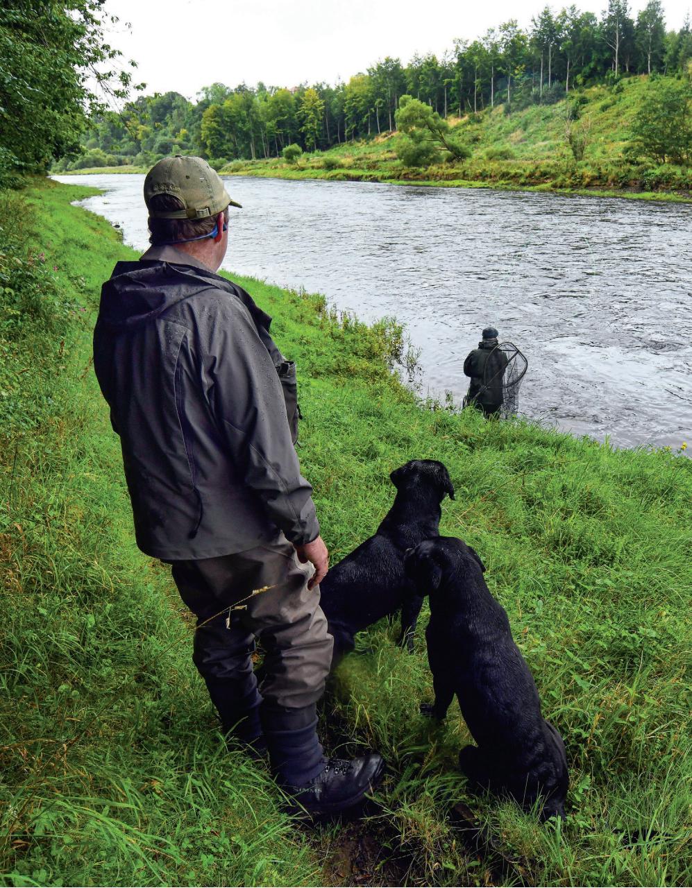 Trout & Salmon Preview Pages