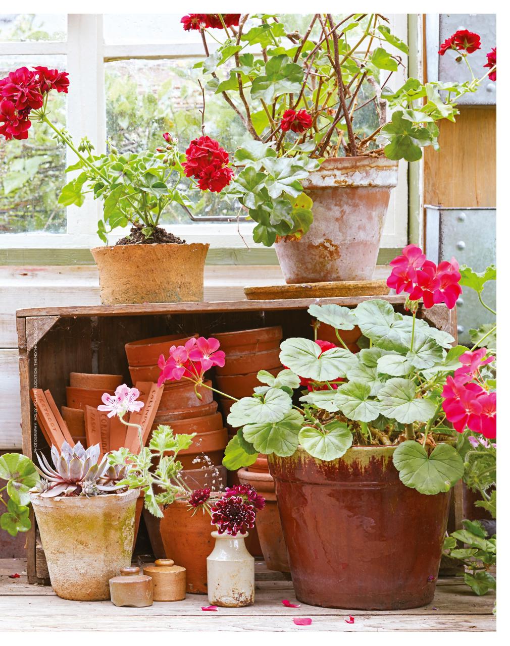 The Simple Things Preview Pages