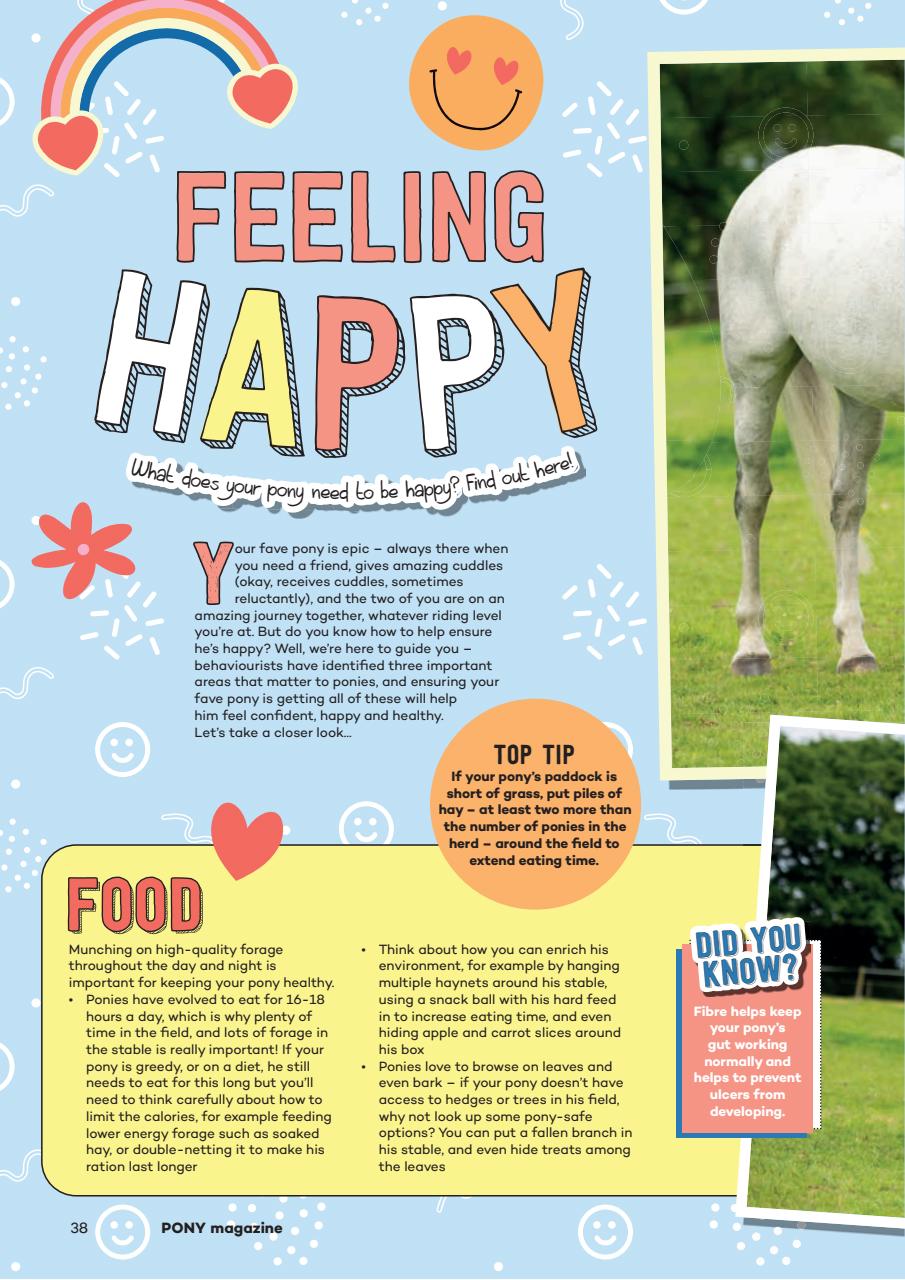 Pony Magazine Preview Pages