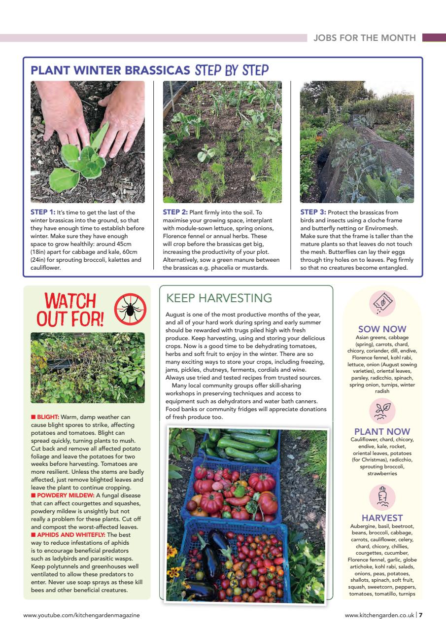 Kitchen Garden Magazine Preview Pages