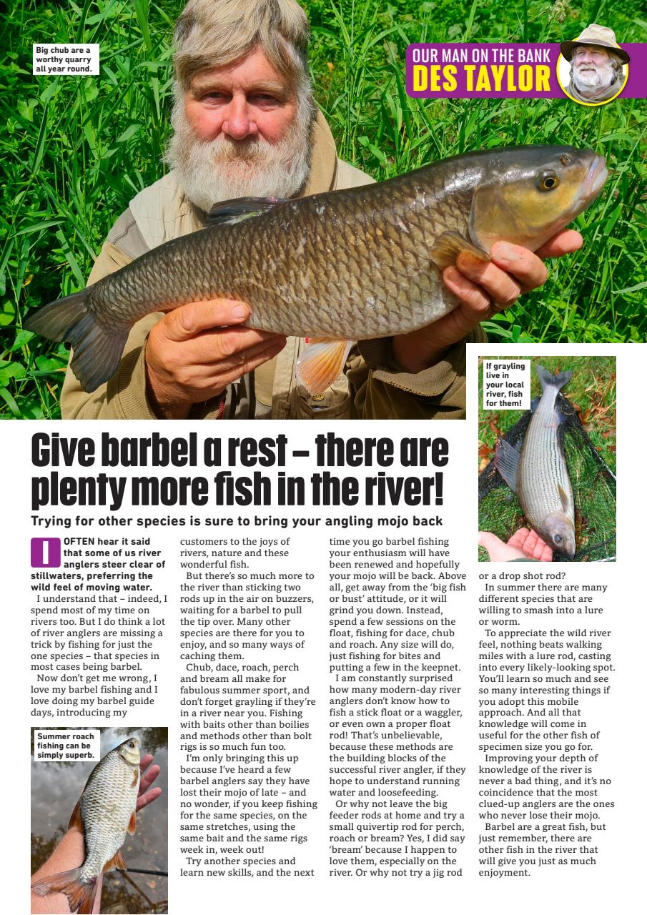 Angling Times Preview Pages