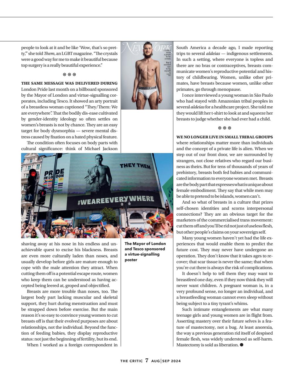 The Critic Preview Pages