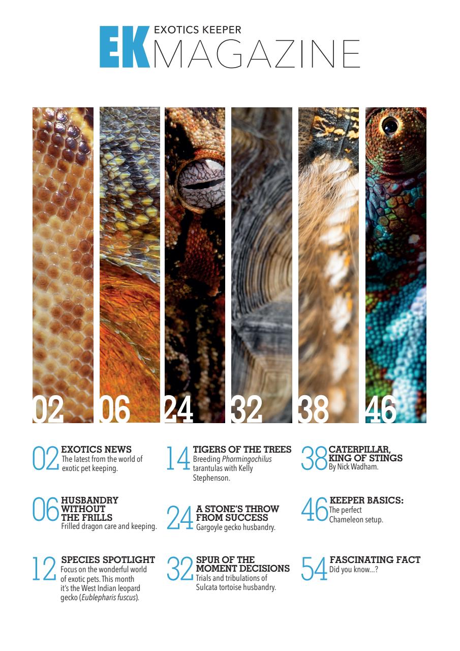 Exotics Keeper Preview Pages