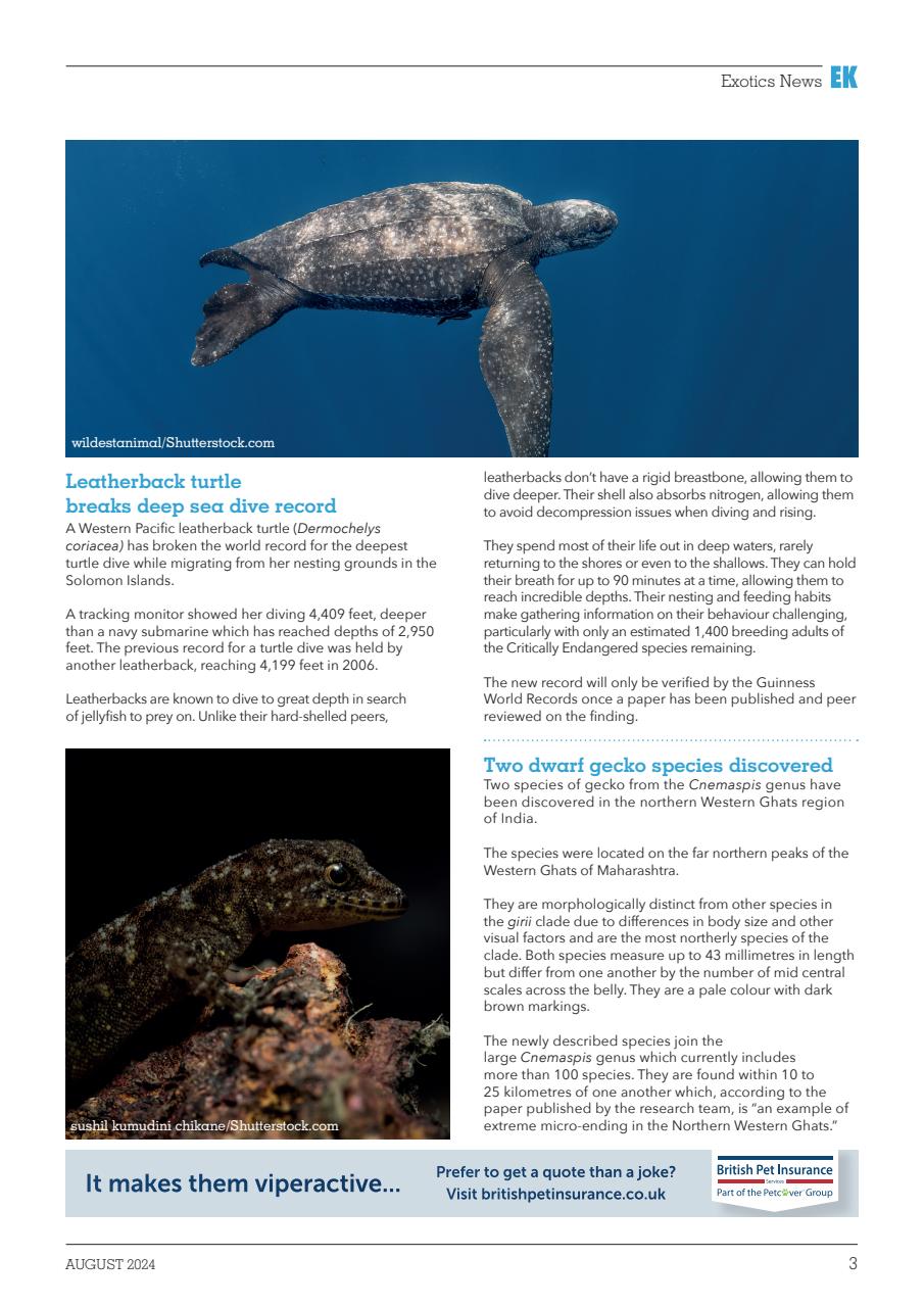 Exotics Keeper Preview Pages