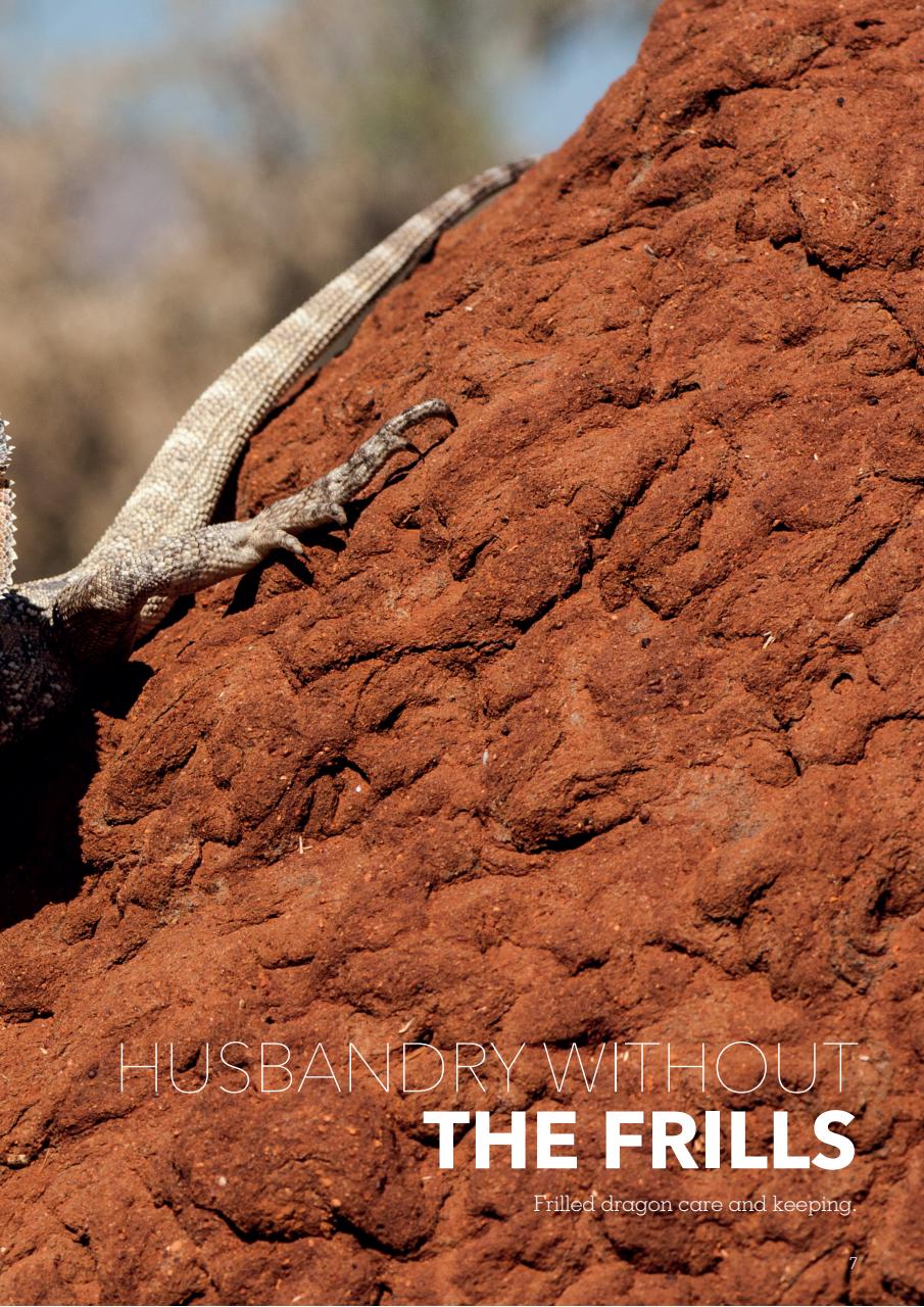 Exotics Keeper Preview Pages