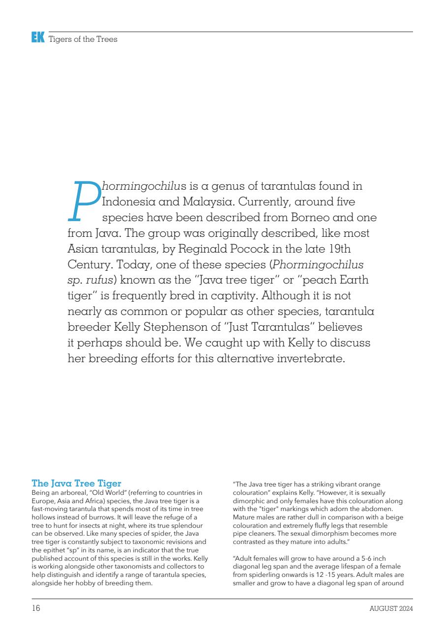 Exotics Keeper Preview Pages