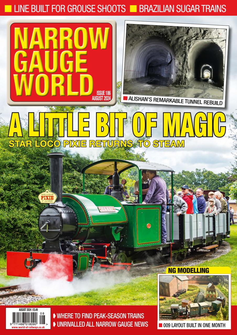 Narrow Gauge World Preview Pages