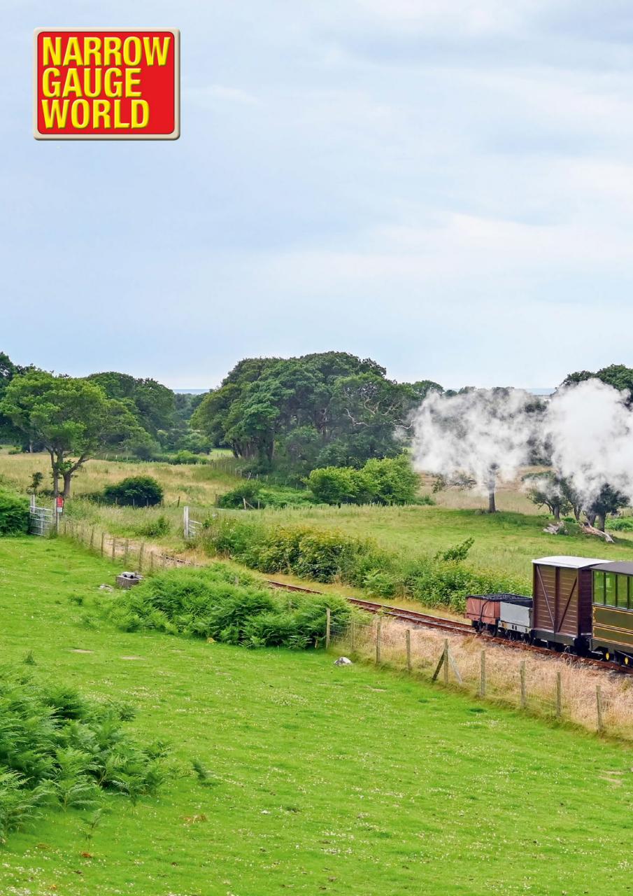 Narrow Gauge World Preview Pages