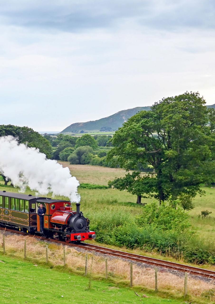 Narrow Gauge World Preview Pages