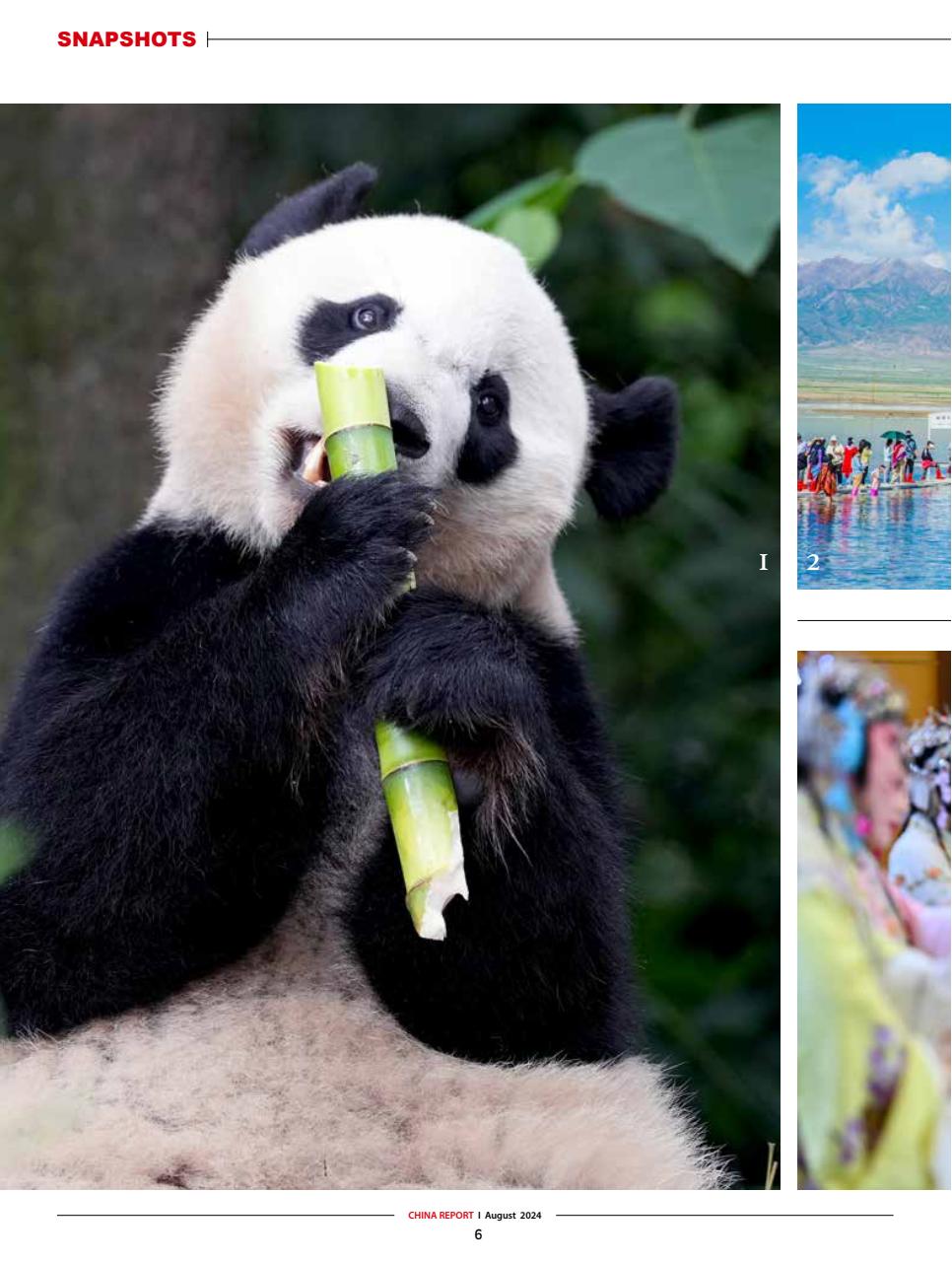 China Report Preview Pages