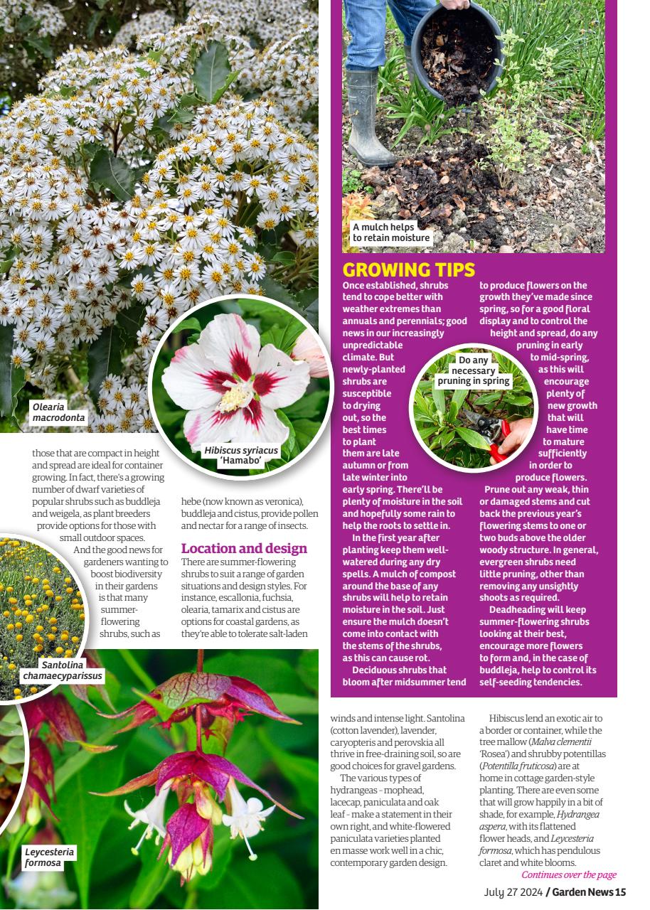 Garden News Preview Pages