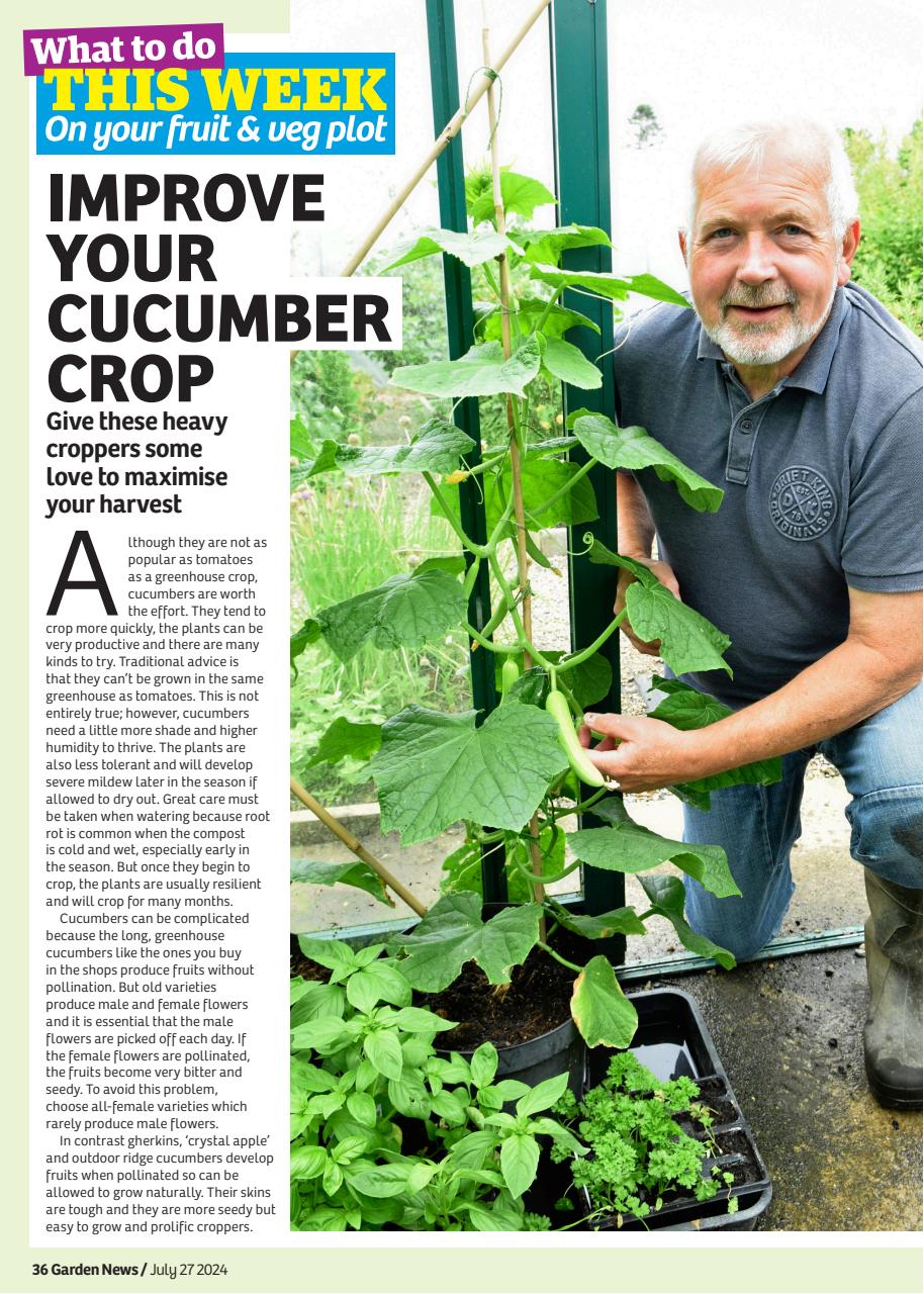 Garden News Preview Pages