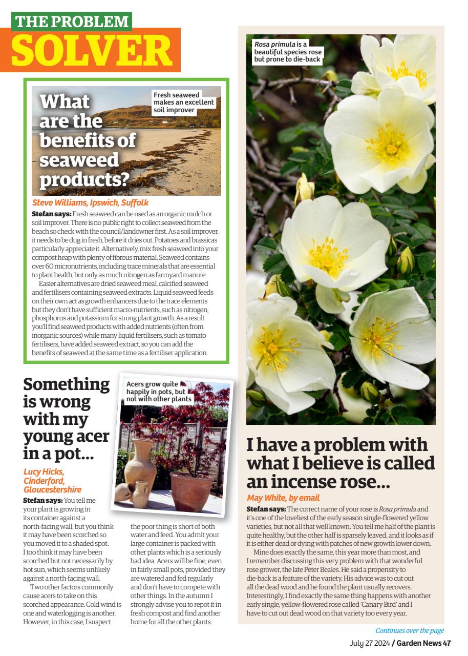 Garden News Preview Pages