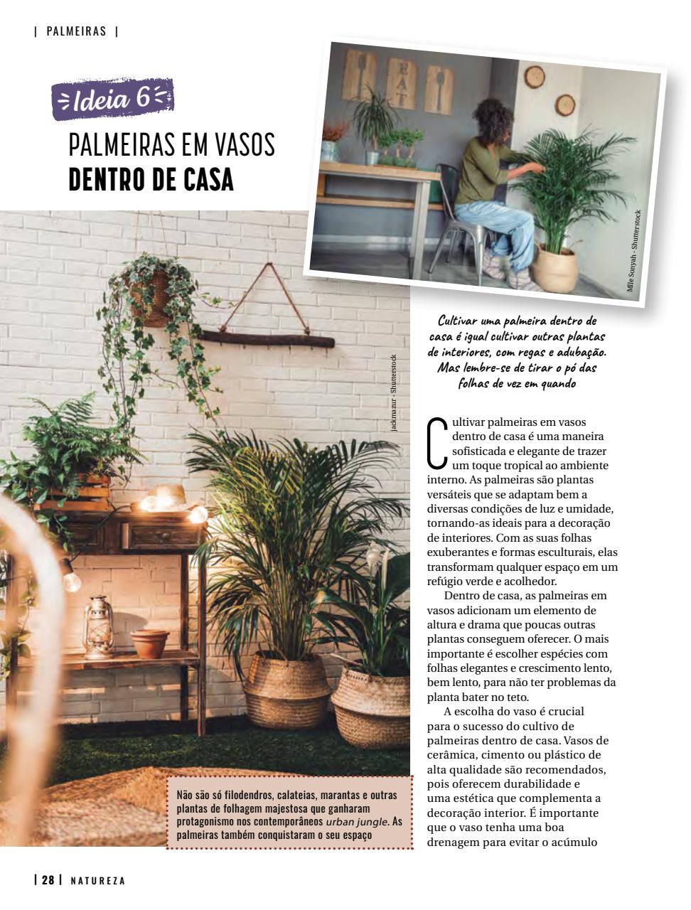 Natureza Preview Pages