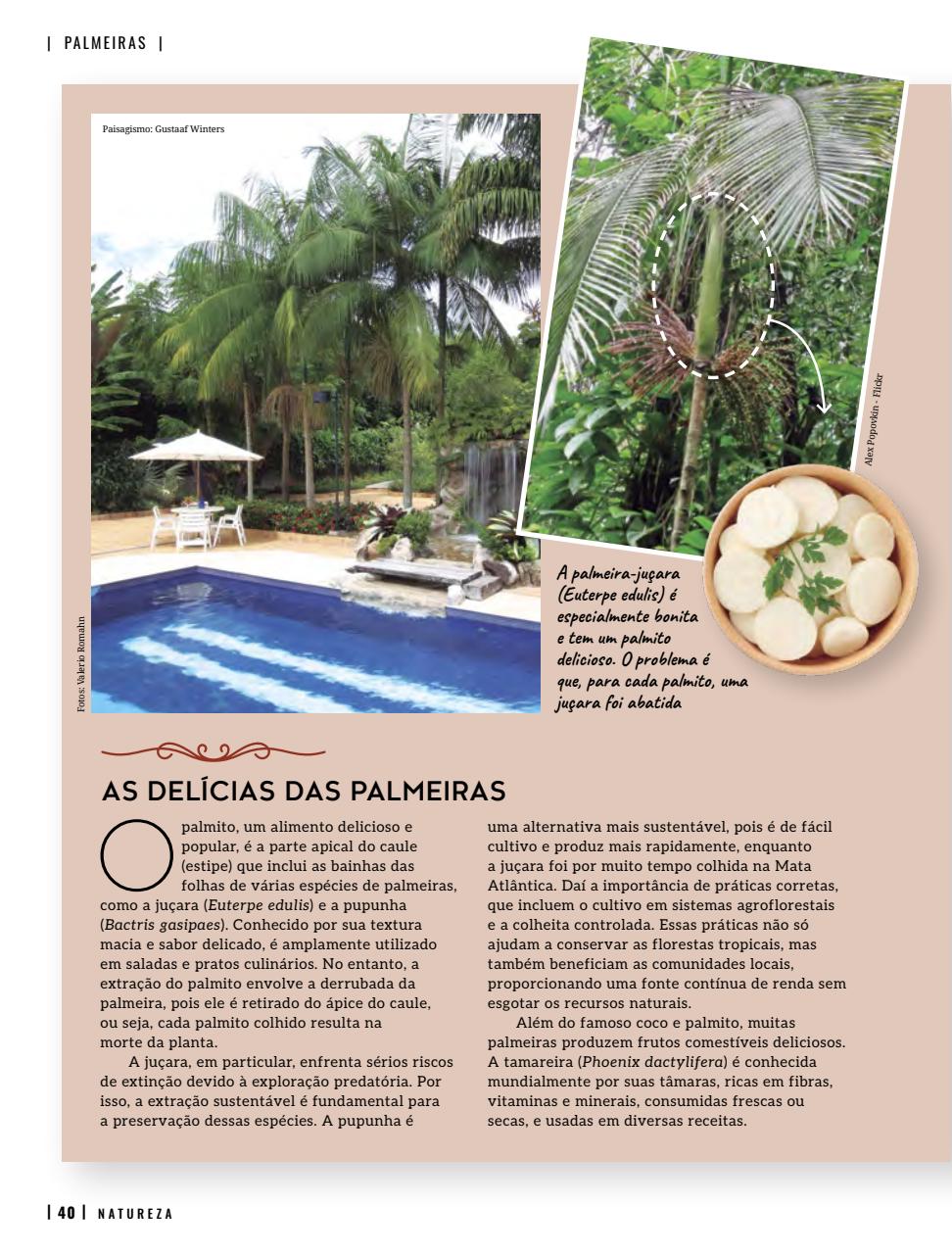 Natureza Preview Pages
