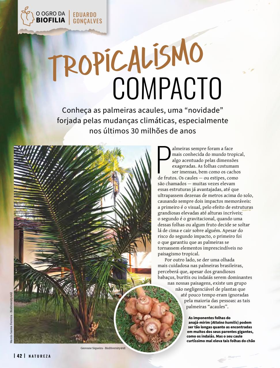 Natureza Preview Pages