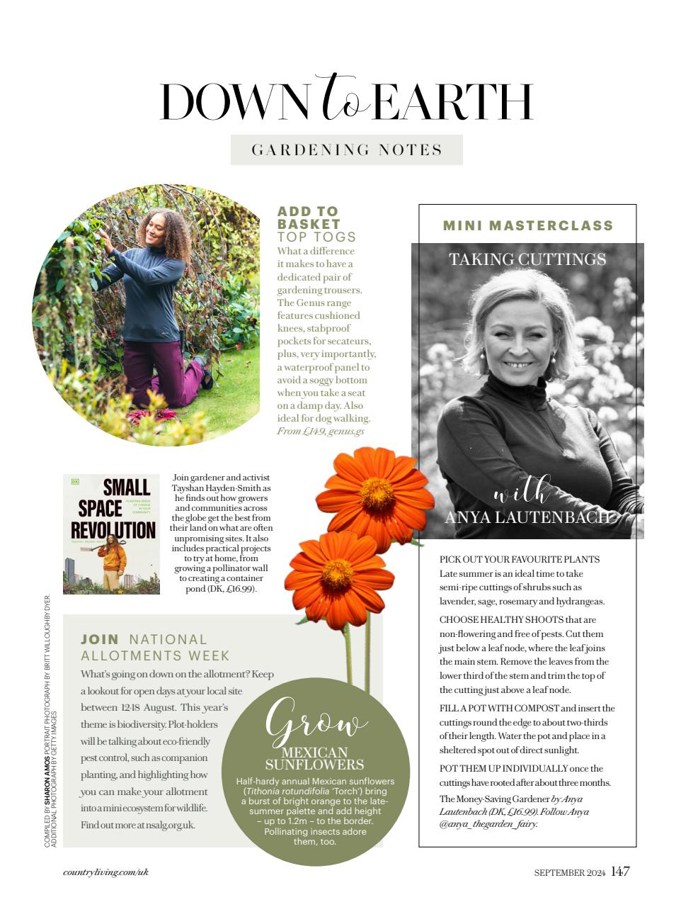 Country Living Preview Pages