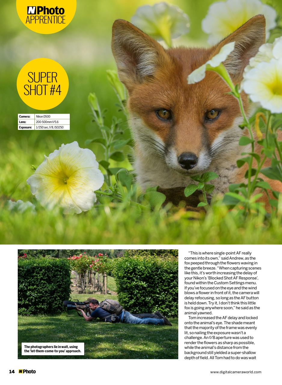 N-Photo Preview Pages