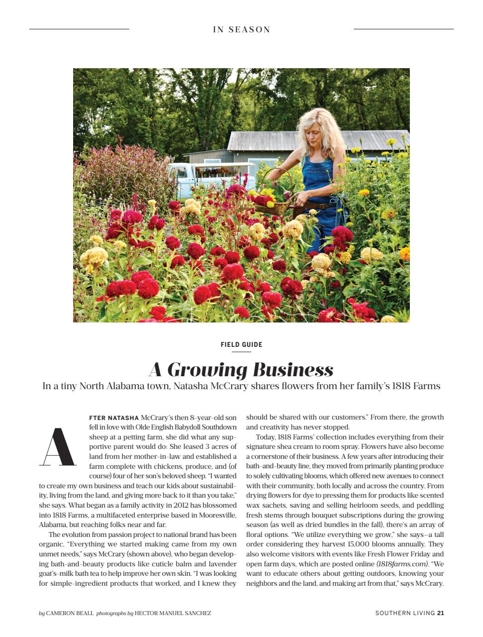 Southern Living Preview Pages