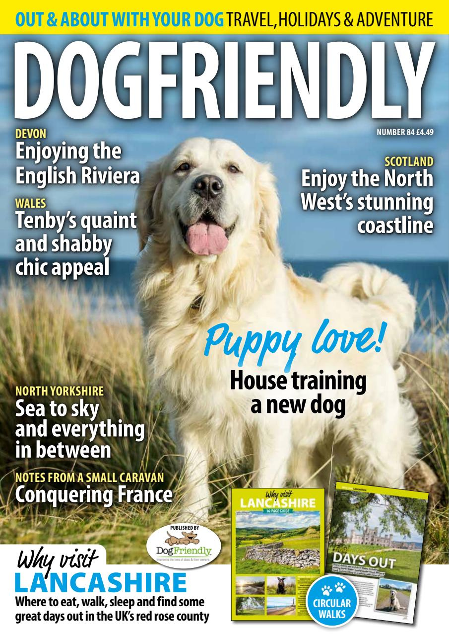 Dog Friendly Preview Pages