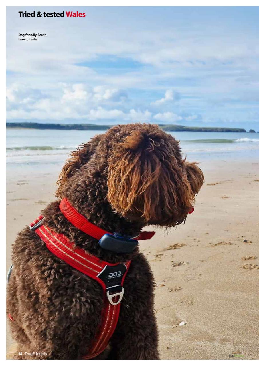 Dog Friendly Preview Pages