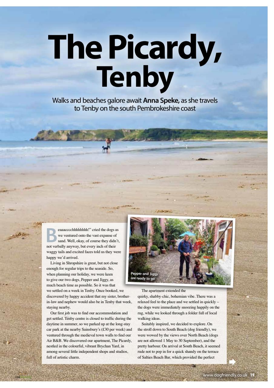 Dog Friendly Preview Pages