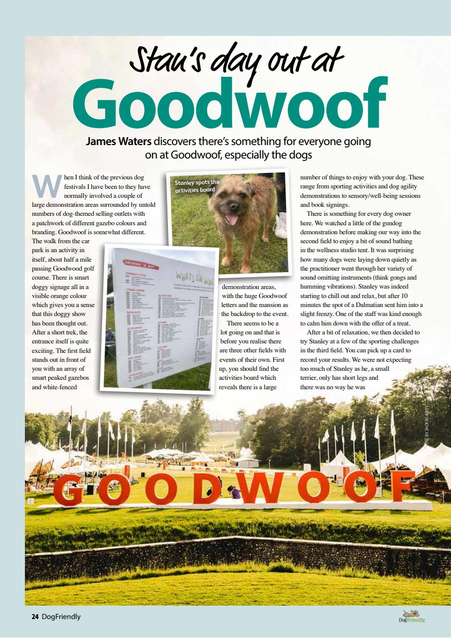 Dog Friendly Preview Pages