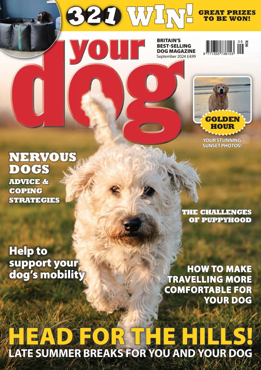 Your Dog Preview Pages