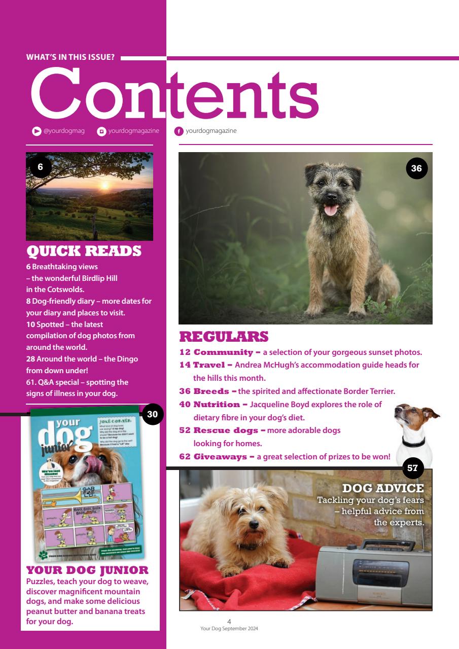 Your Dog Preview Pages