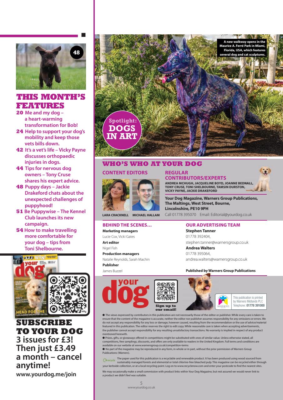 Your Dog Preview Pages