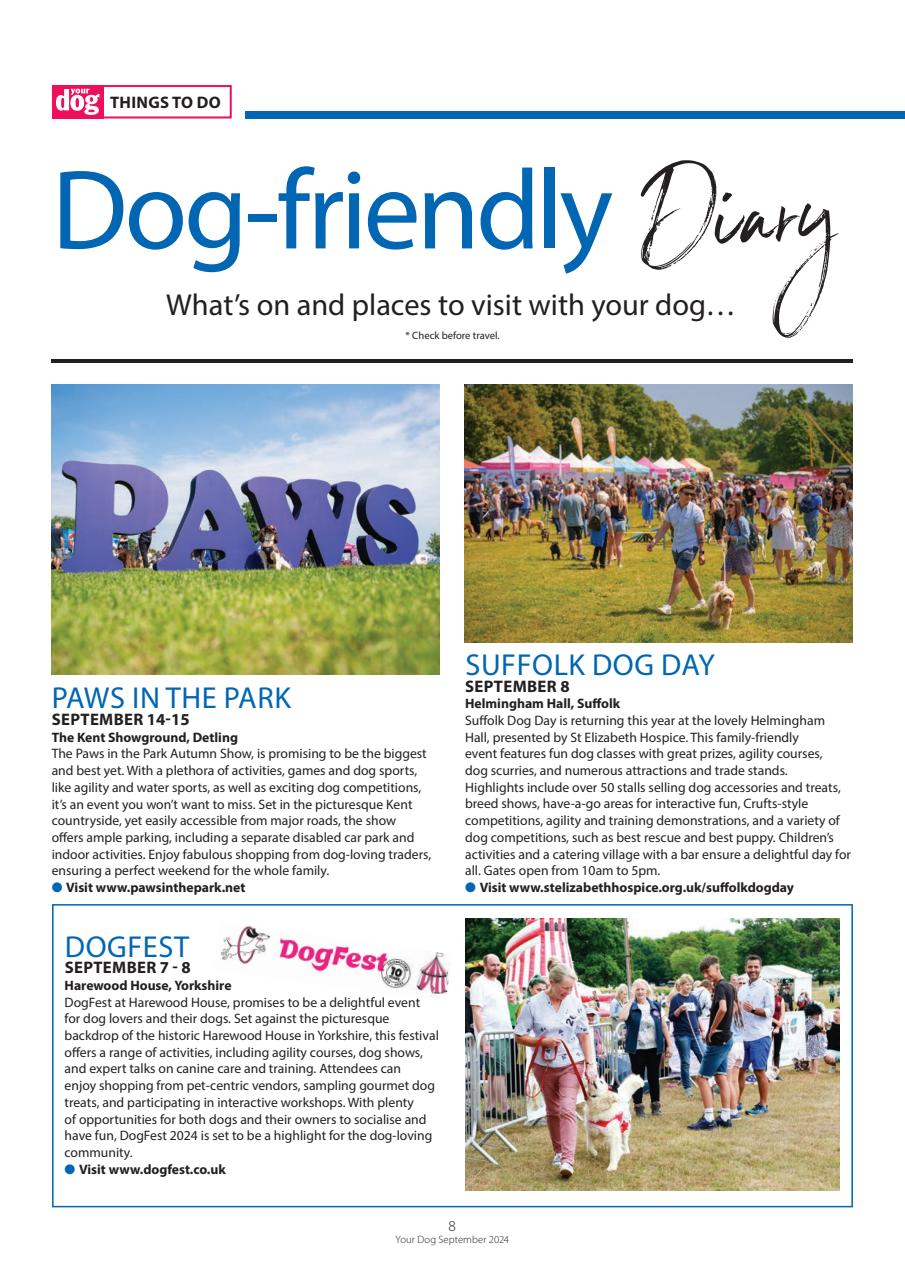 Your Dog Preview Pages