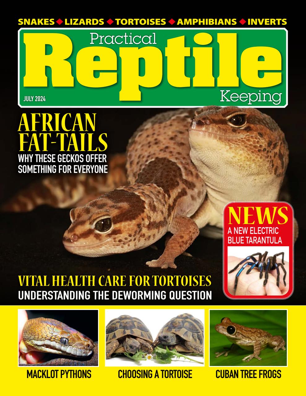 Practical Reptile Keeping Preview Pages