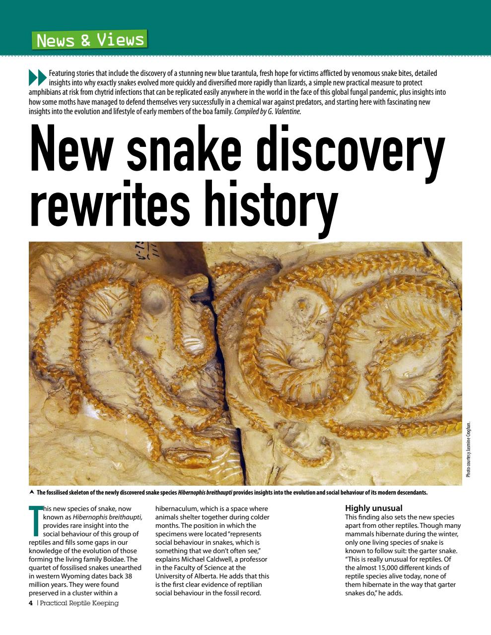 Practical Reptile Keeping Preview Pages