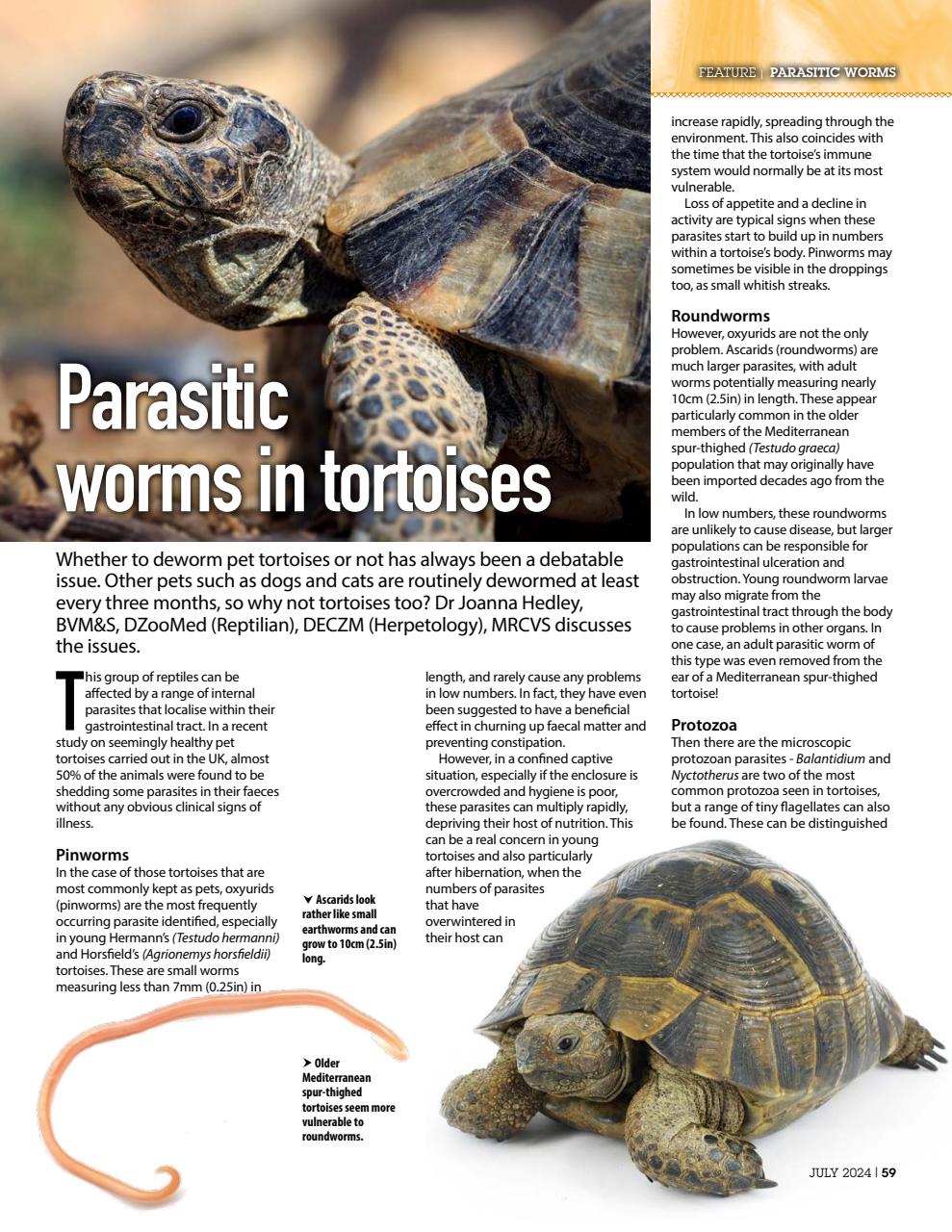 Practical Reptile Keeping Magazine - July 2024 Back Issue