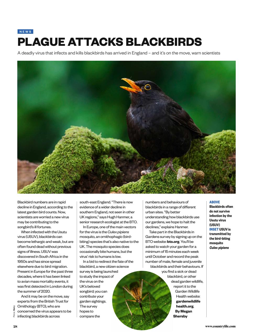 BBC Countryfile Magazine Preview Pages