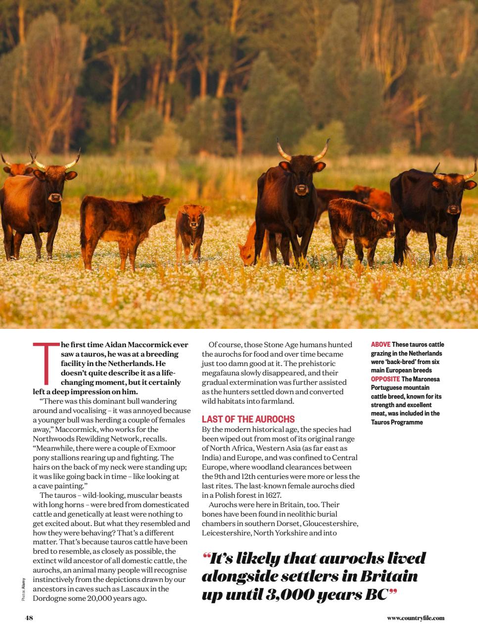BBC Countryfile Magazine Preview Pages